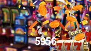 Premium Interface 5956
